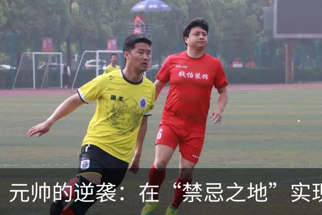 元帅的逆袭：在“禁忌之地”实现长寿生活
